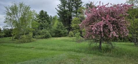 1696 Federal Road Livermore ME 04253