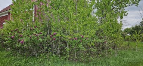 1696 Federal Road Livermore ME 04253