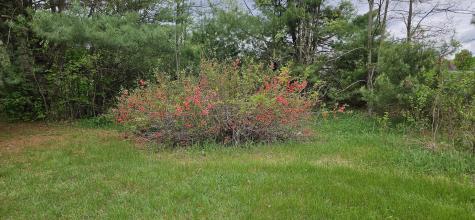 1696 Federal Road Livermore ME 04253