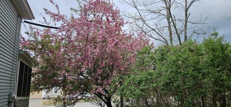 1696 Federal Road Livermore ME 04253