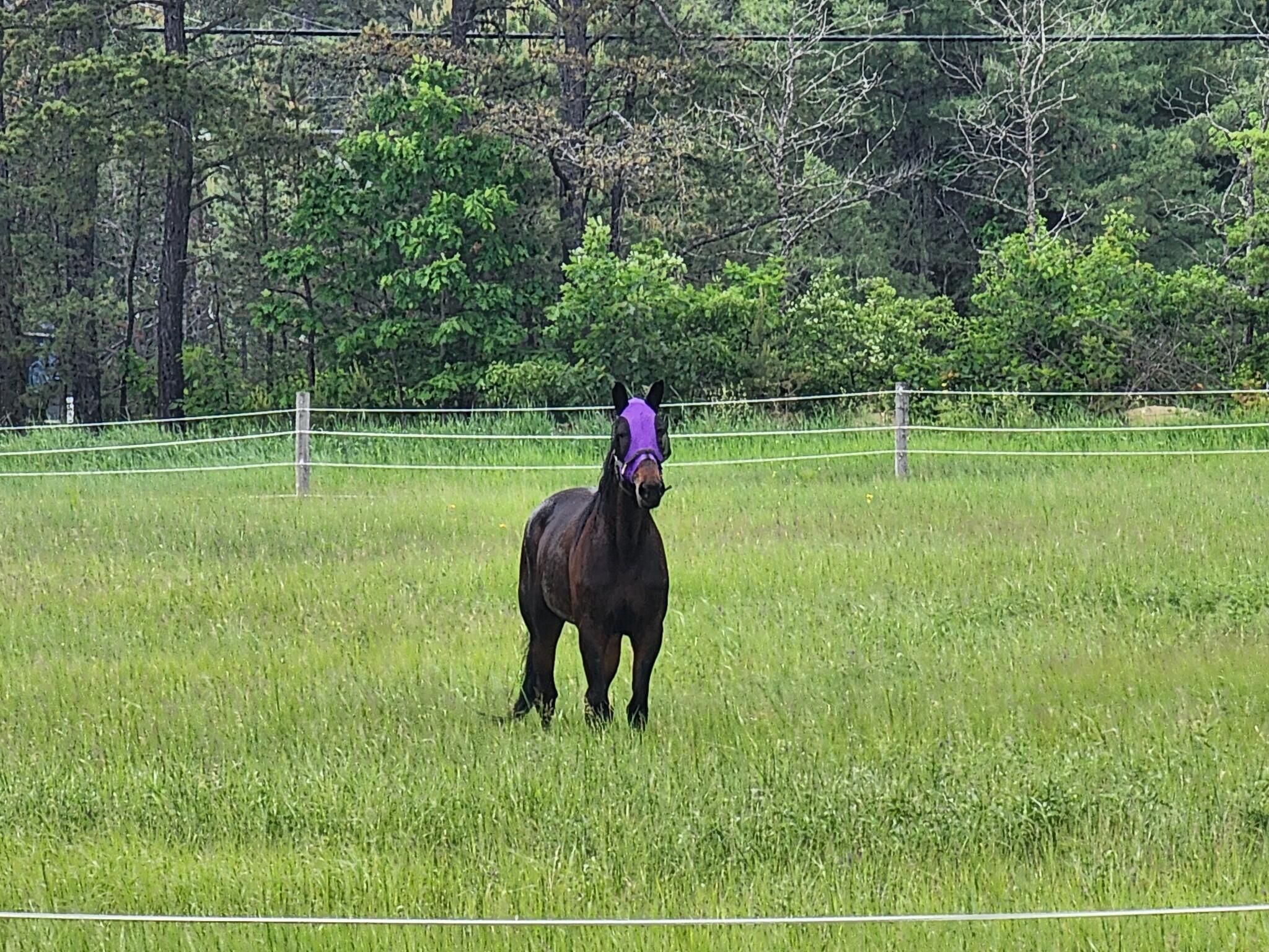 53 Branch Brook Lane Newfield ME 04095