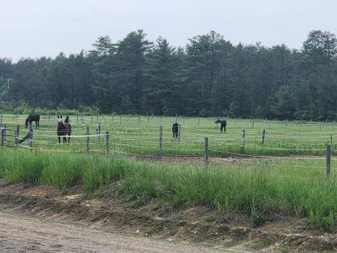 53 Branch Brook Lane Newfield ME 04095