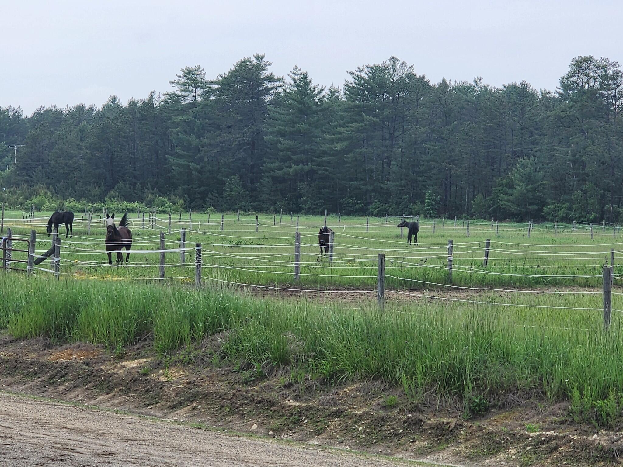 53 Branch Brook Lane Newfield ME 04095