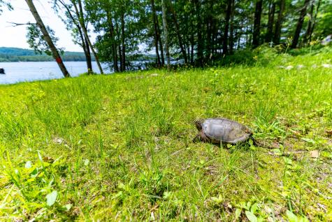 532 Cape Monday Road Harrison ME 04040