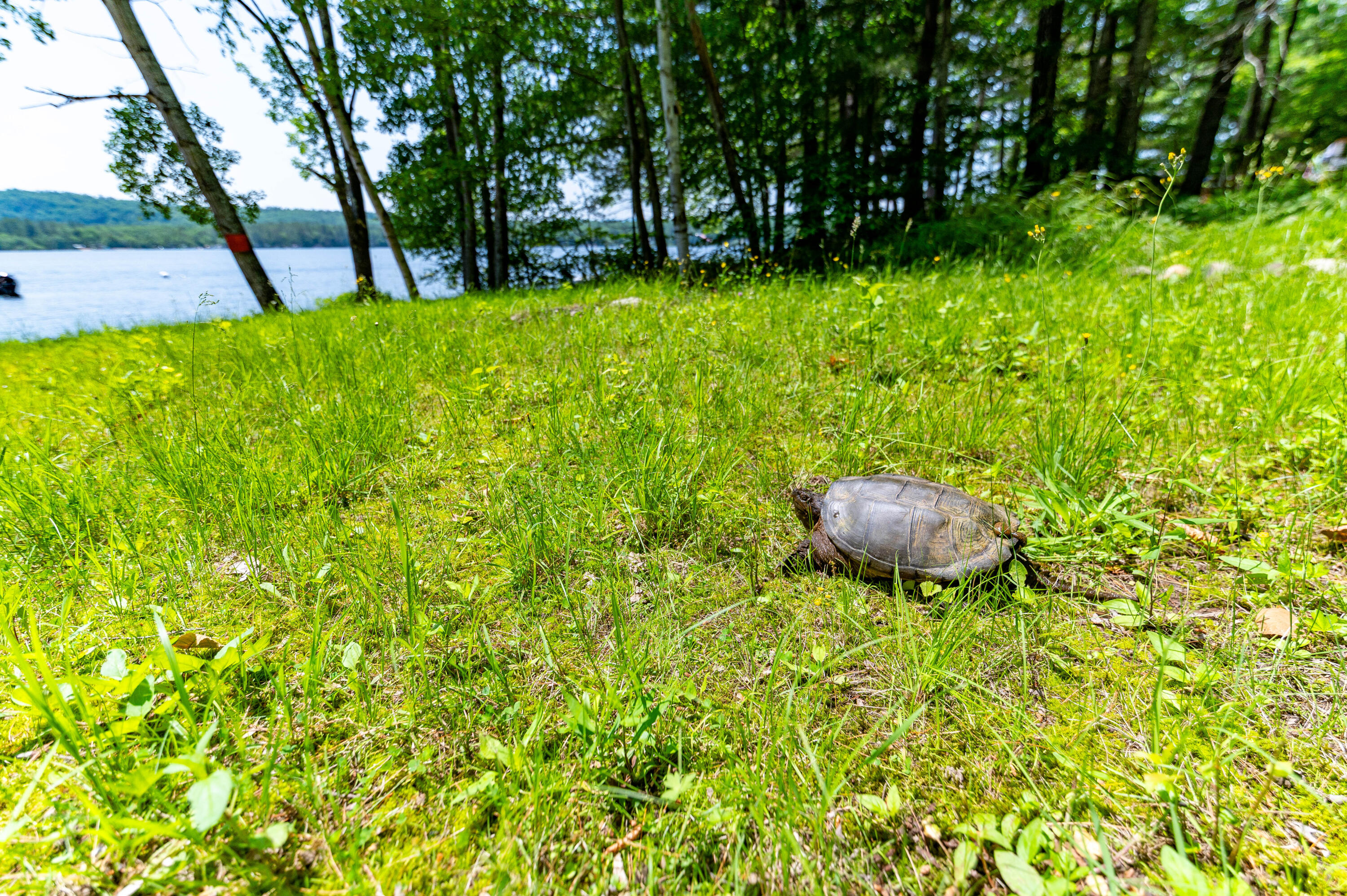 532 Cape Monday Road Harrison ME 04040