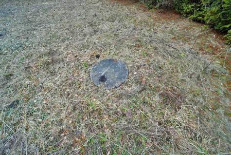 48 Customs Loop Houlton ME 04730