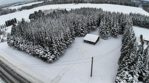 929 Access Highway Limestone ME 04750