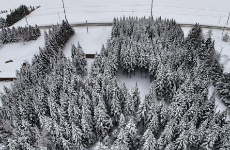 929 Access Highway Limestone ME 04750