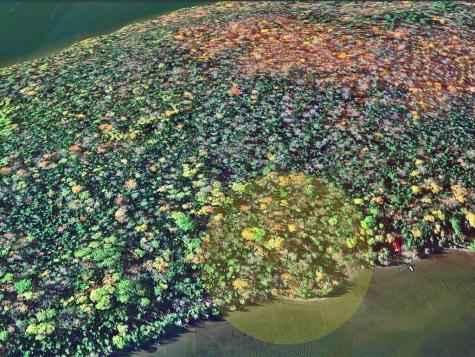 Lot 19-21 Oak Point Trail Portage Lake ME 04768