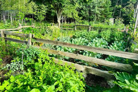 471 Milbridge Road Cherryfield ME 04622