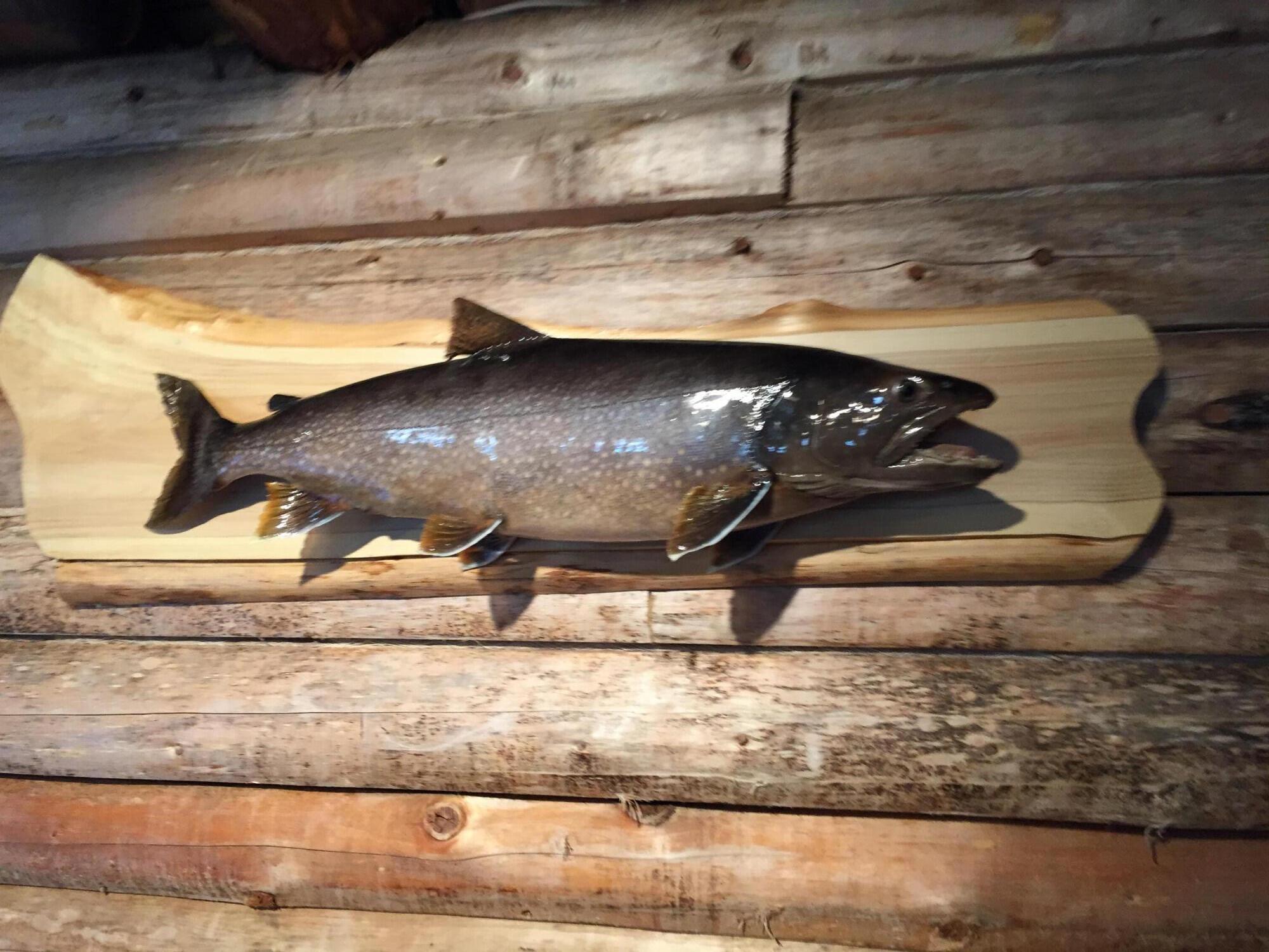 41 Thomas Road Monson ME 04464