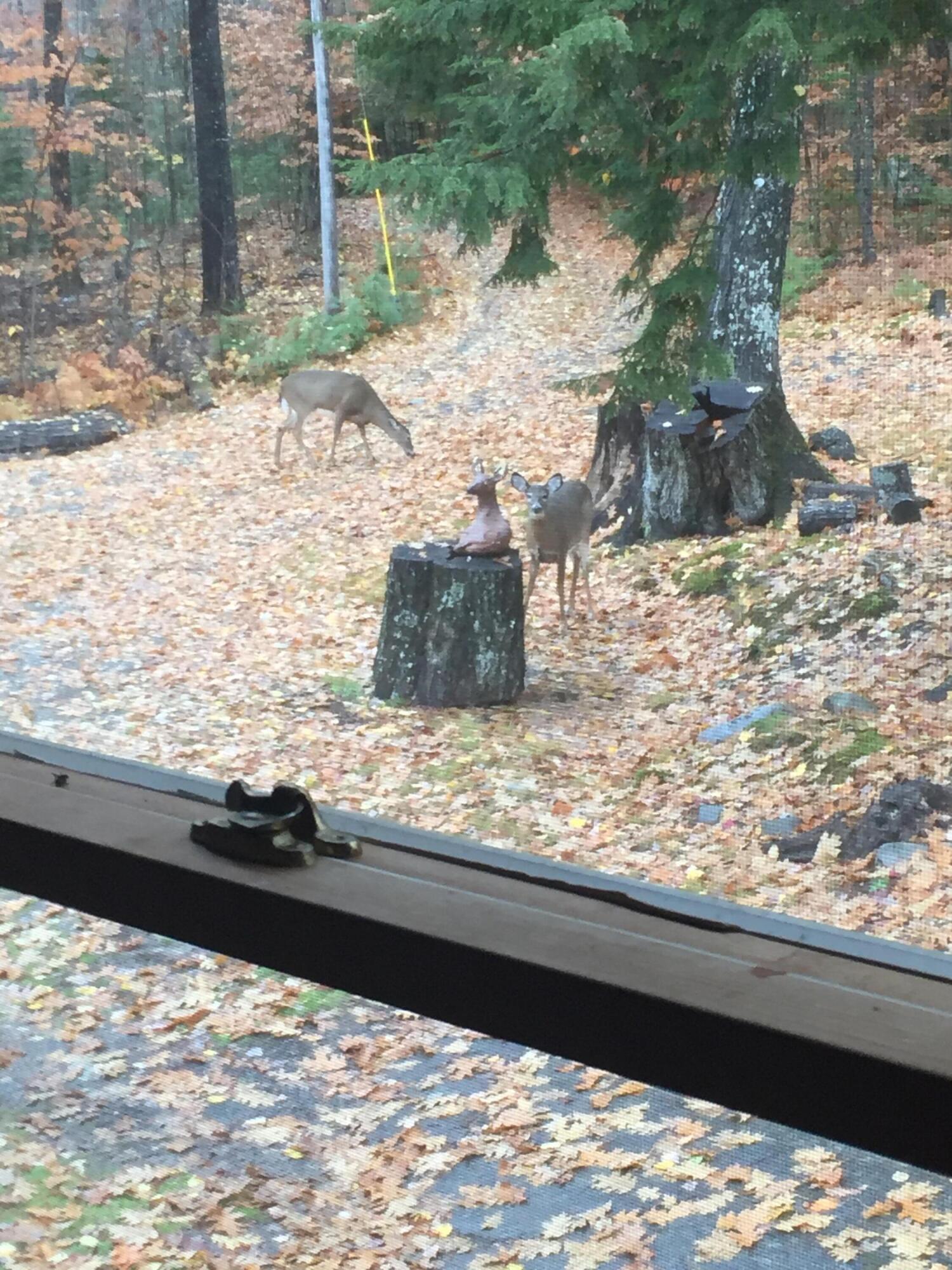 41 Thomas Road Monson ME 04464