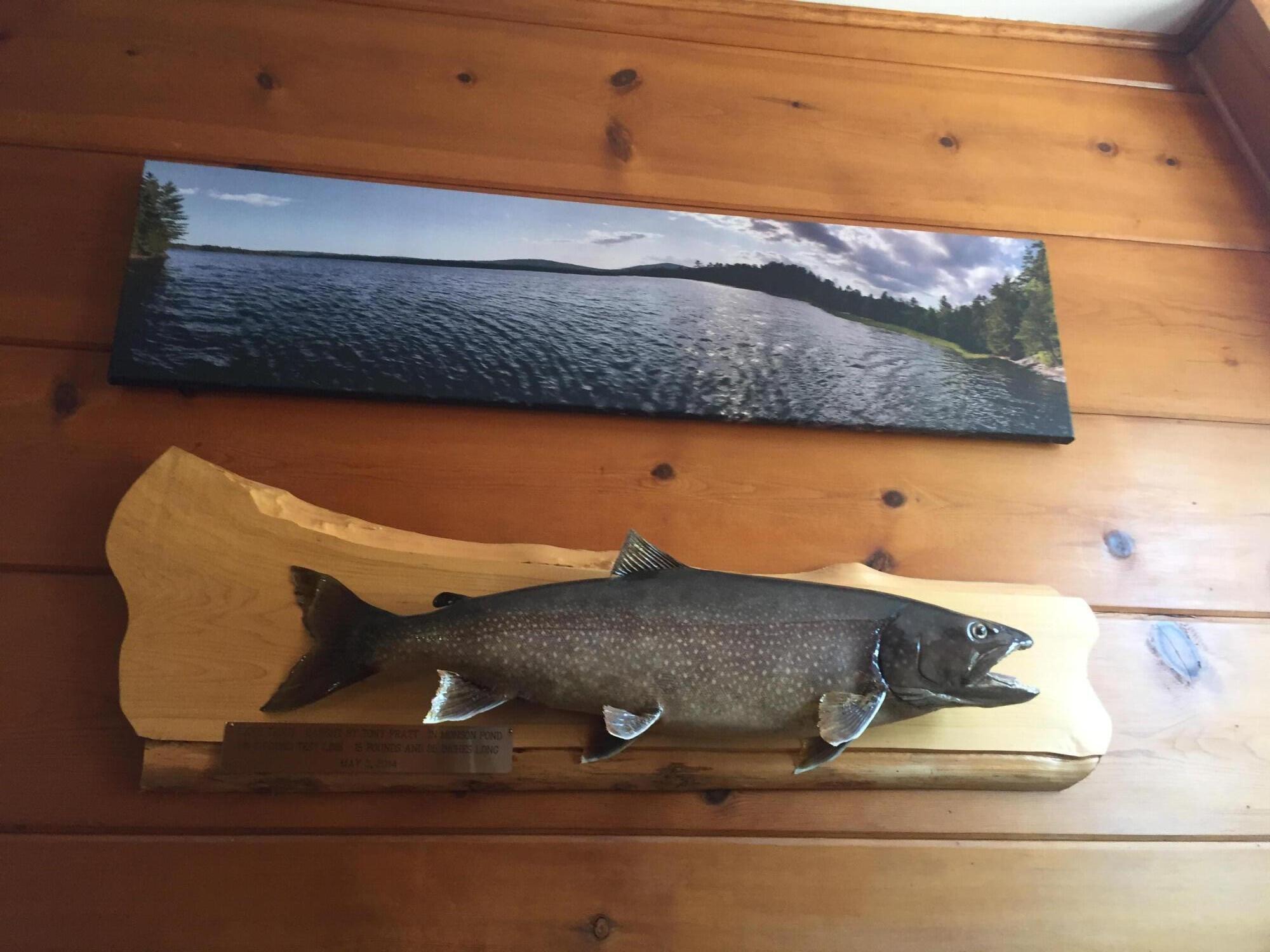 41 Thomas Road Monson ME 04464