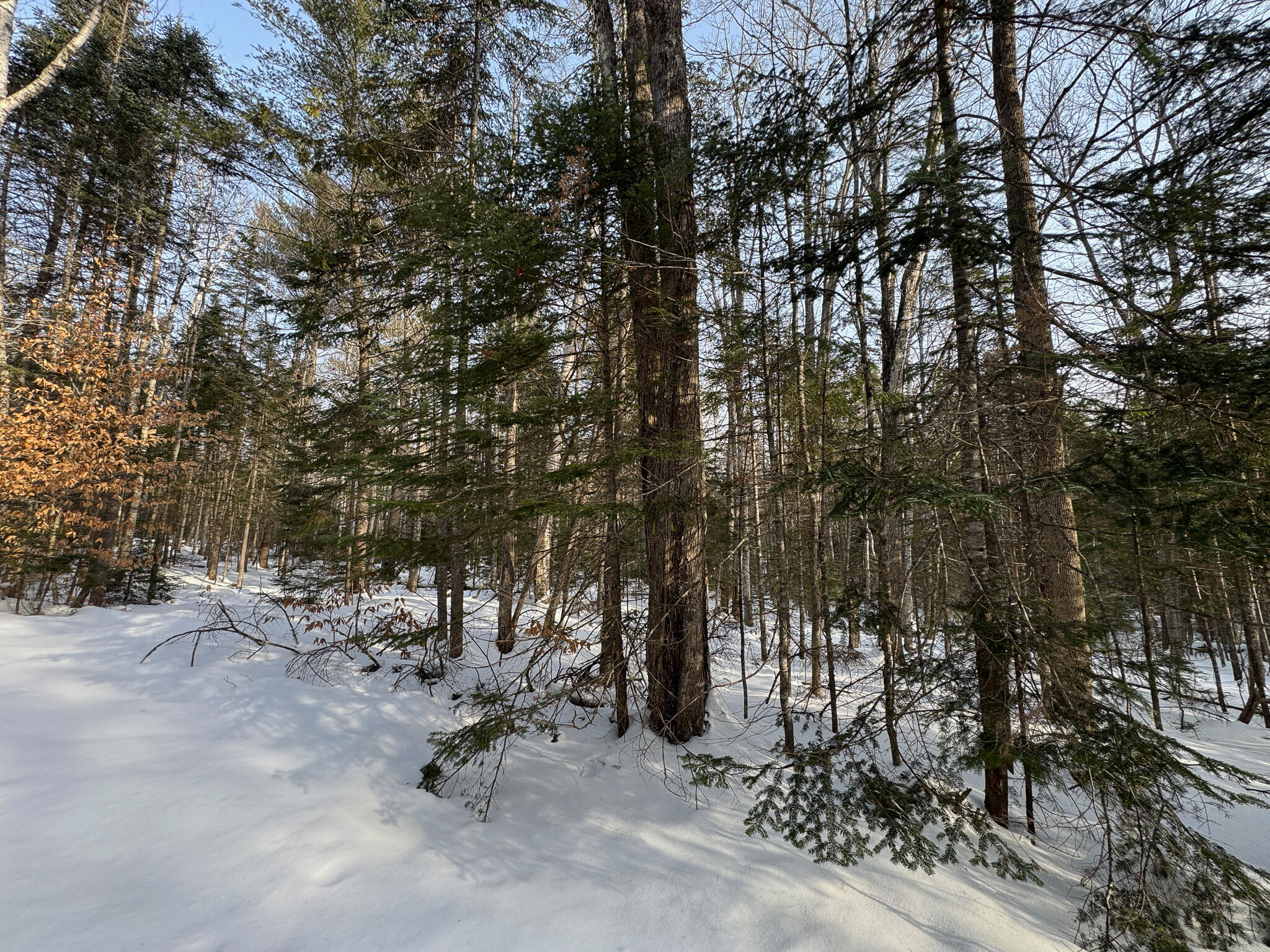 41 Thomas Road Monson ME 04464