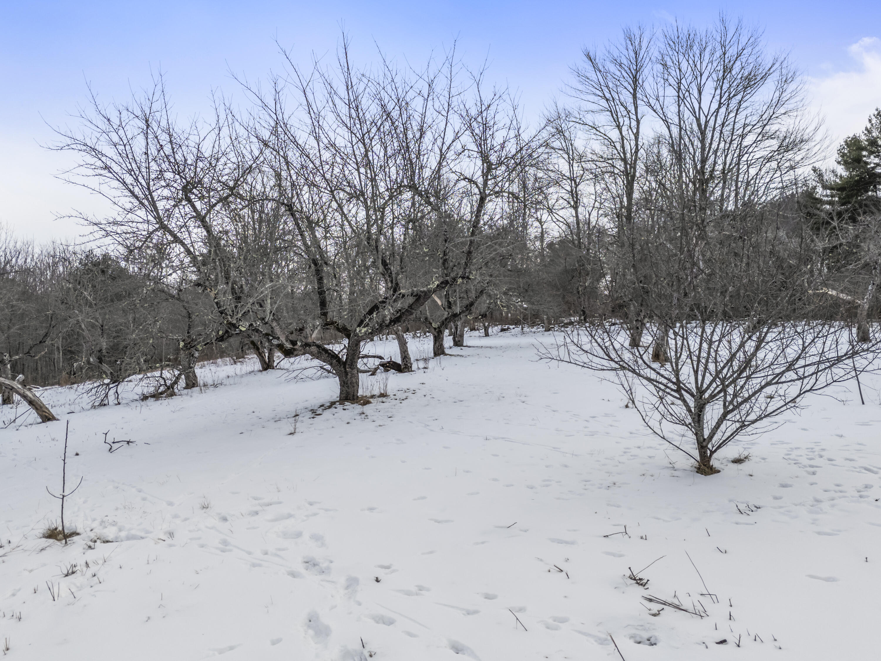 149 Youngs Hill Road Washington ME 04574