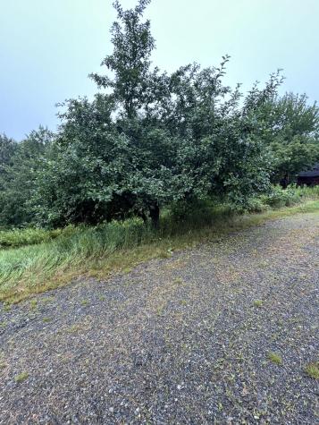 389 Us Route 1 Whiting ME 04691