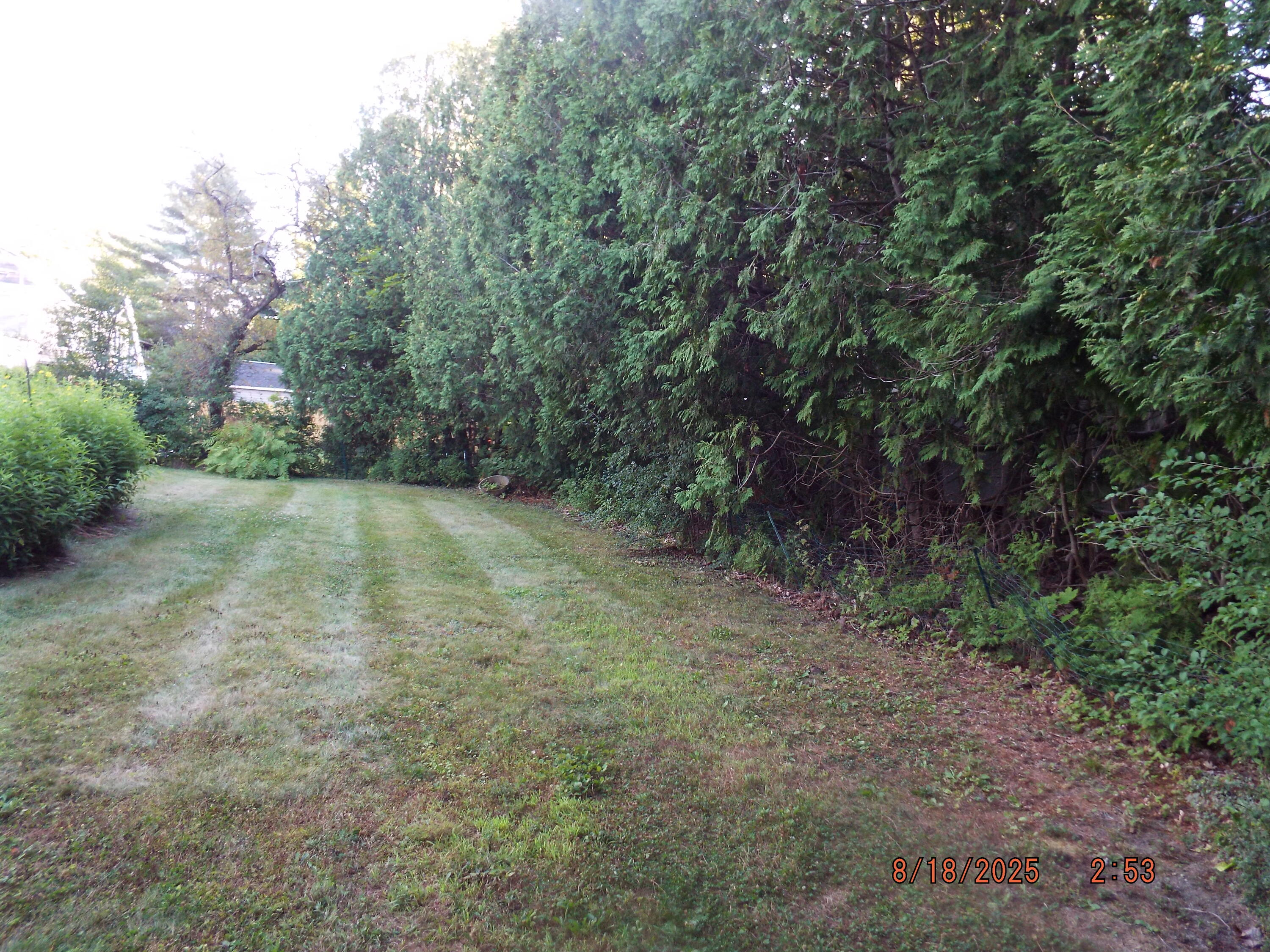 40 Plaisted Street Bangor ME 04401