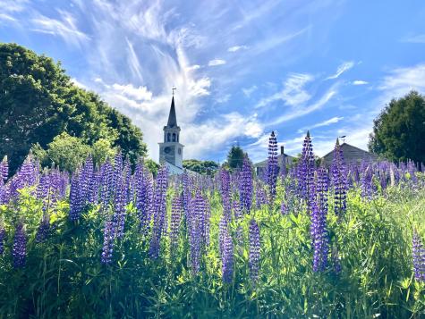 3 Green Street Eastport ME 04631