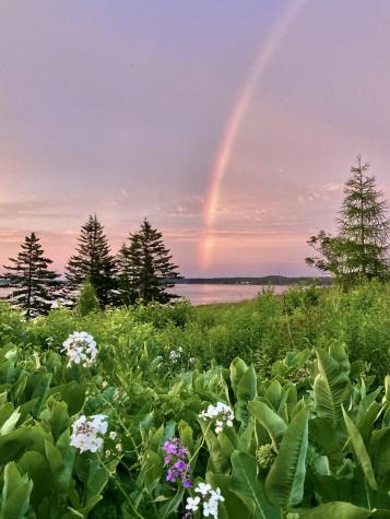 3 Green Street Eastport ME 04631