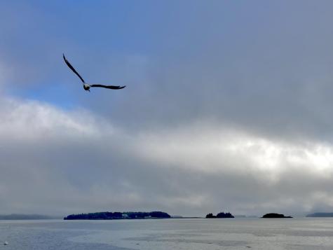 3 Green Street Eastport ME 04631