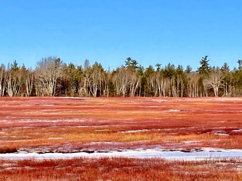 3 Green Street Eastport ME 04631