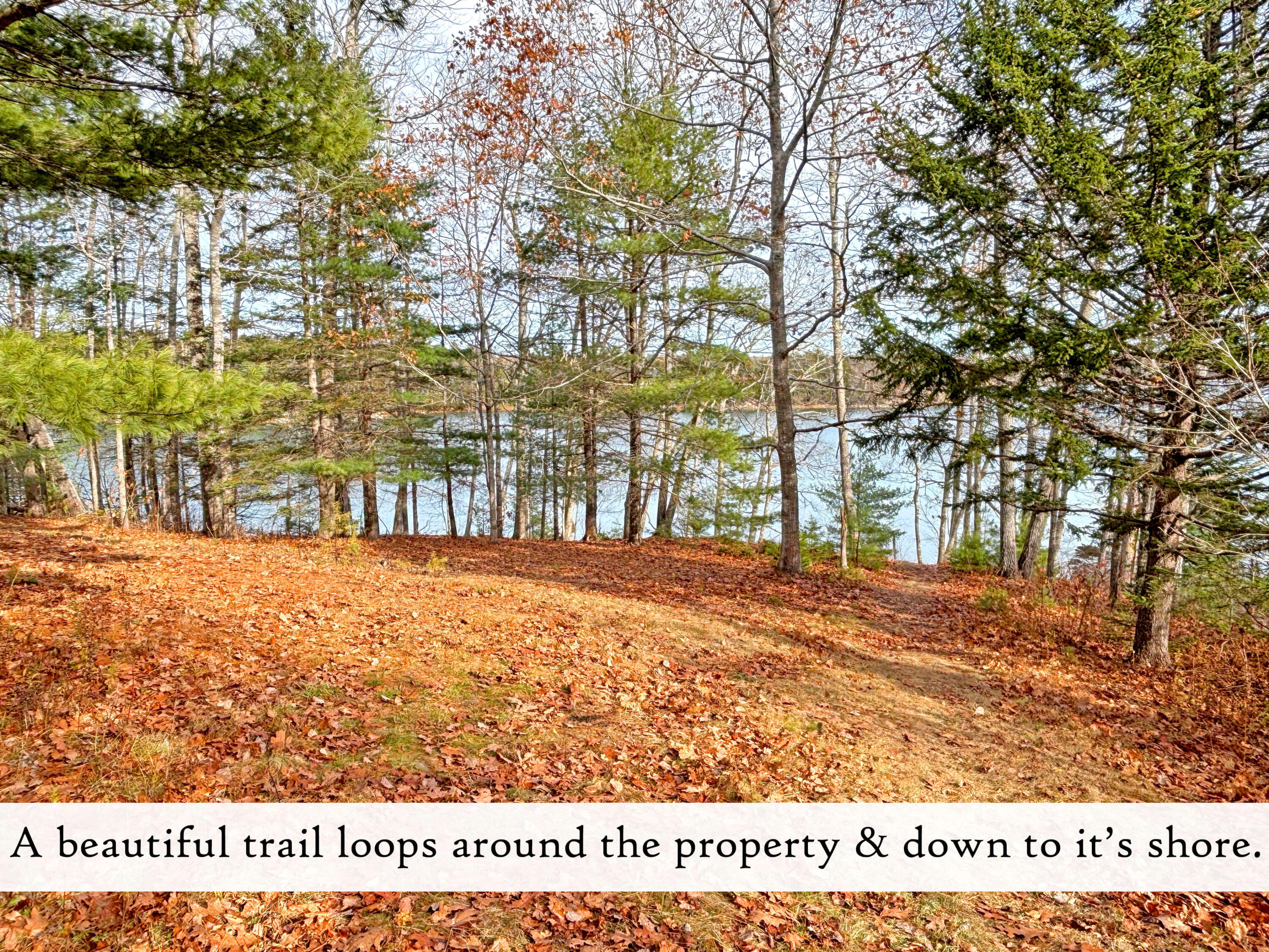 313 East Side Road Sorrento ME 04677
