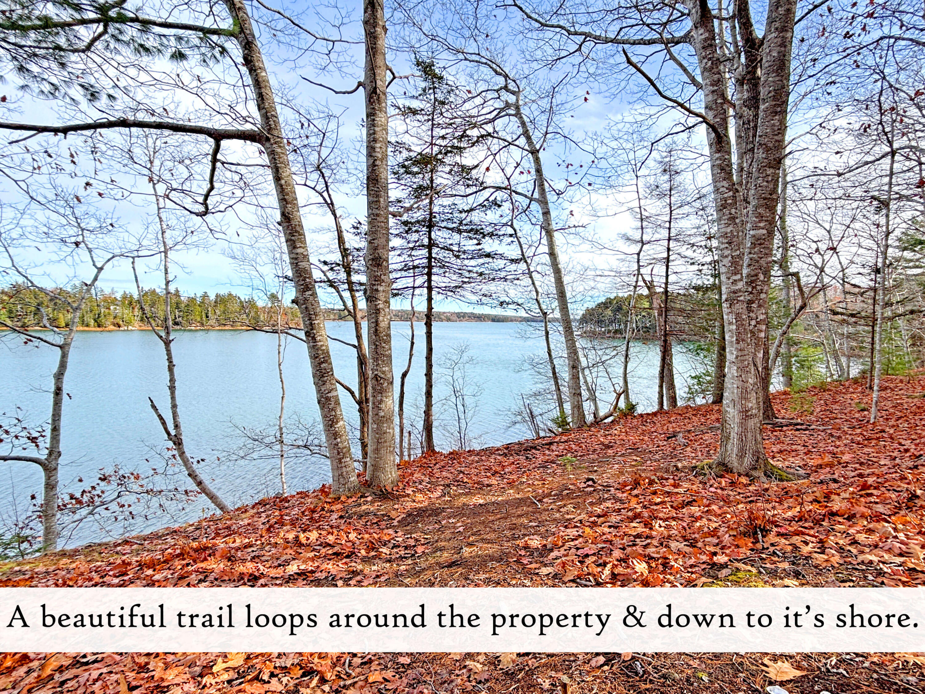 313 East Side Road Sorrento ME 04677