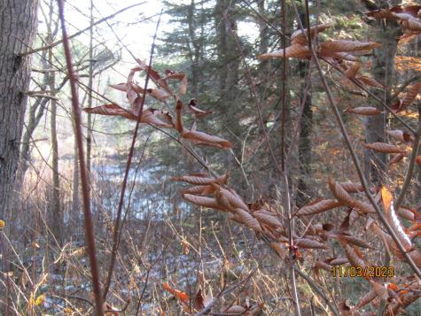 412 Davis Street Brownville ME 04414