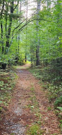 61 Big Woods Road Harrison ME 04040