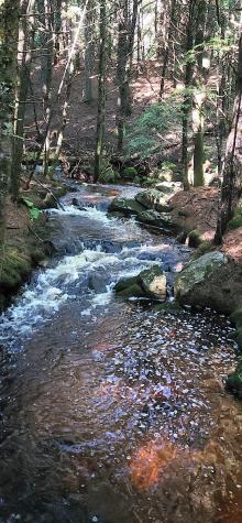 61 Big Woods Road Harrison ME 04040