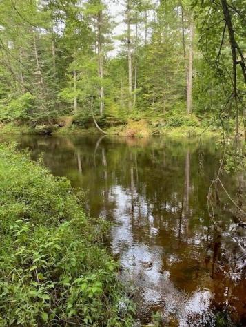 61 Big Woods Road Harrison ME 04040