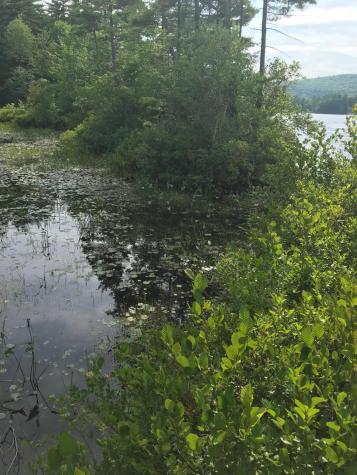 8 Pleasant Valley Circle Poland ME 04274