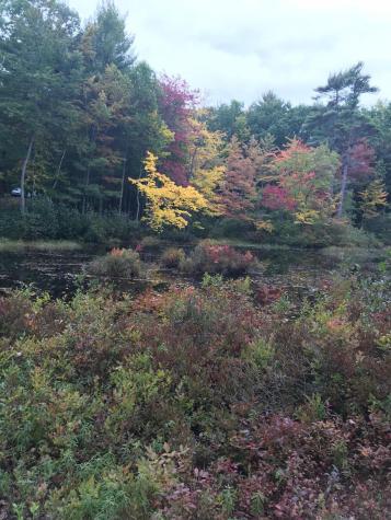 8 Pleasant Valley Circle Poland ME 04274