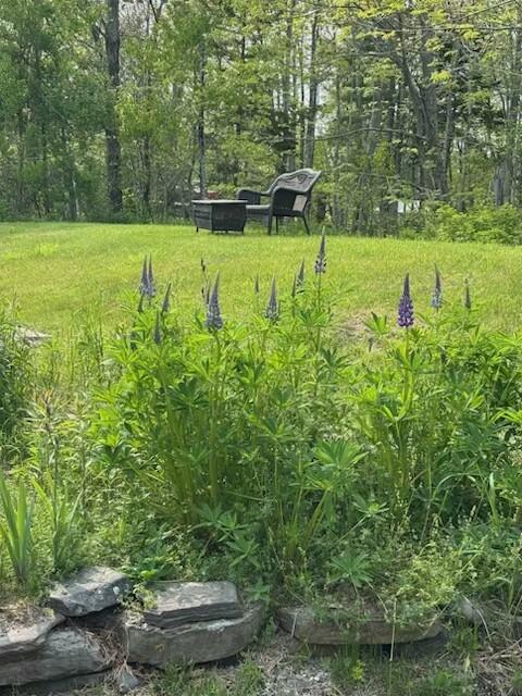 2782 Atlantic Highway Lincolnville ME 04849