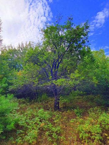 15 Jackson Hole Carthage ME 04224