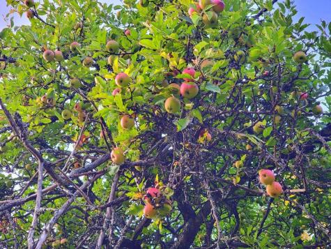 15 Jackson Hole Carthage ME 04224