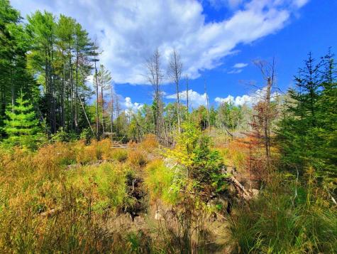 15 Jackson Hole Carthage ME 04224