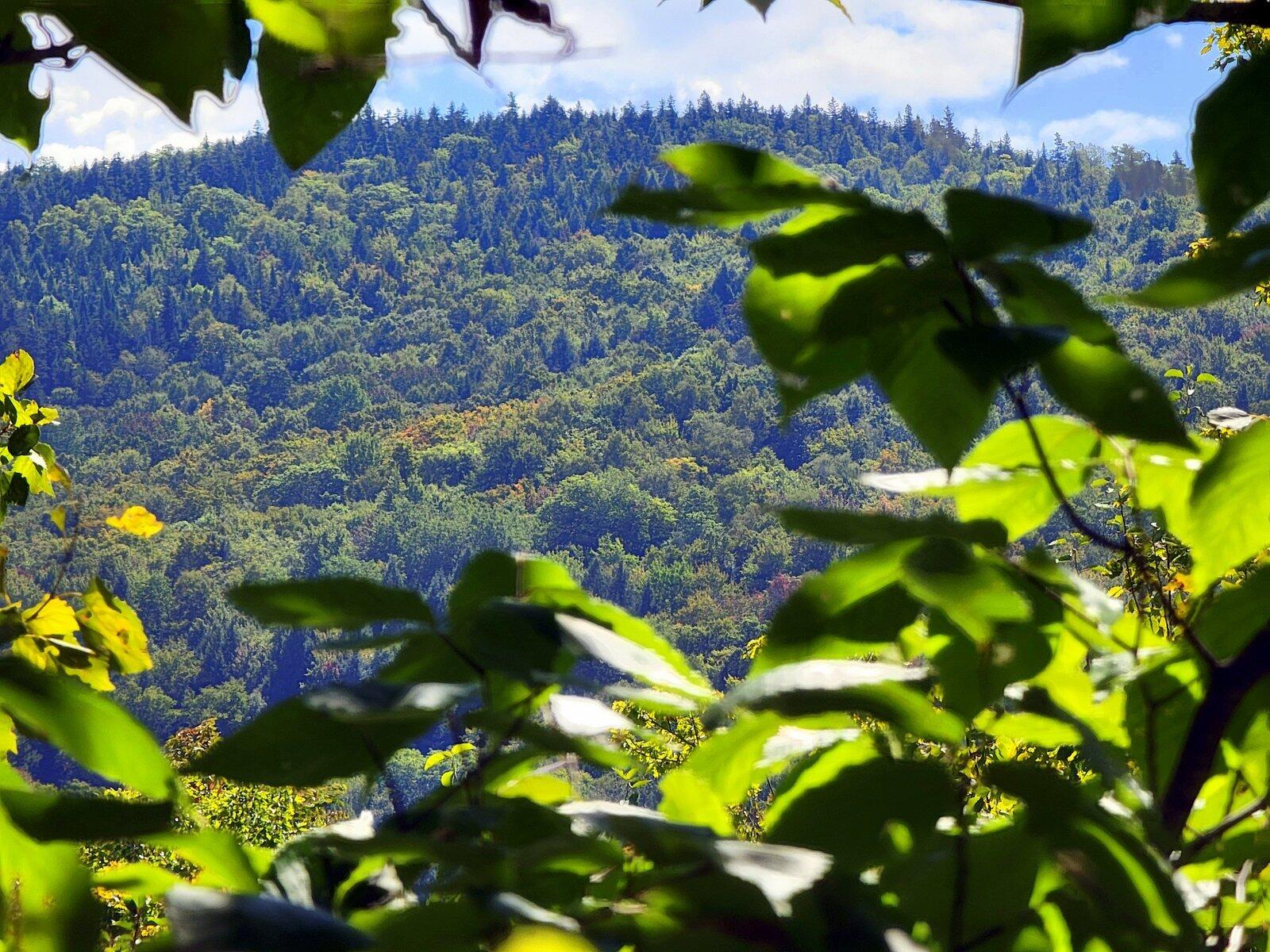 15 Jackson Hole Carthage ME 04224