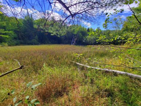 15 Jackson Hole Carthage ME 04224