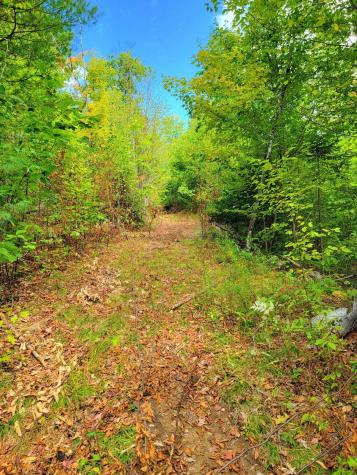 15 Jackson Hole Carthage ME 04224