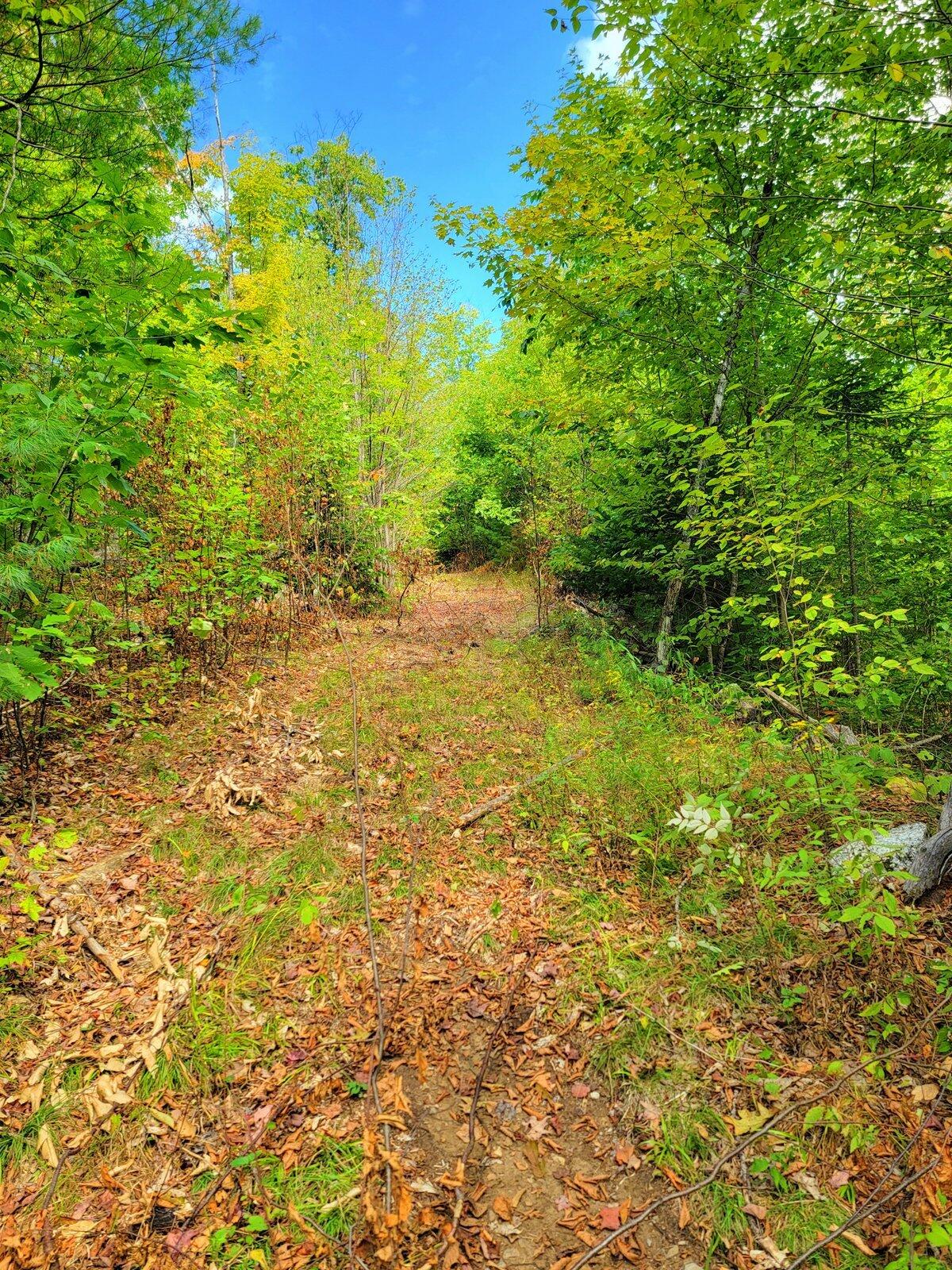 15 Jackson Hole Carthage ME 04224