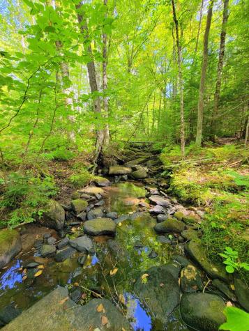 15 Jackson Hole Carthage ME 04224