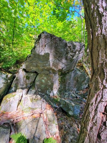 15 Jackson Hole Carthage ME 04224