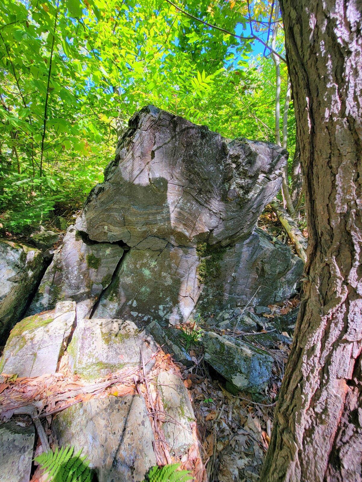 15 Jackson Hole Carthage ME 04224