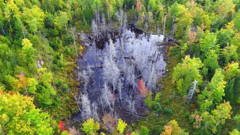 15 Jackson Hole Carthage ME 04224