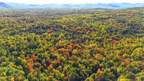 15 Jackson Hole Carthage ME 04224