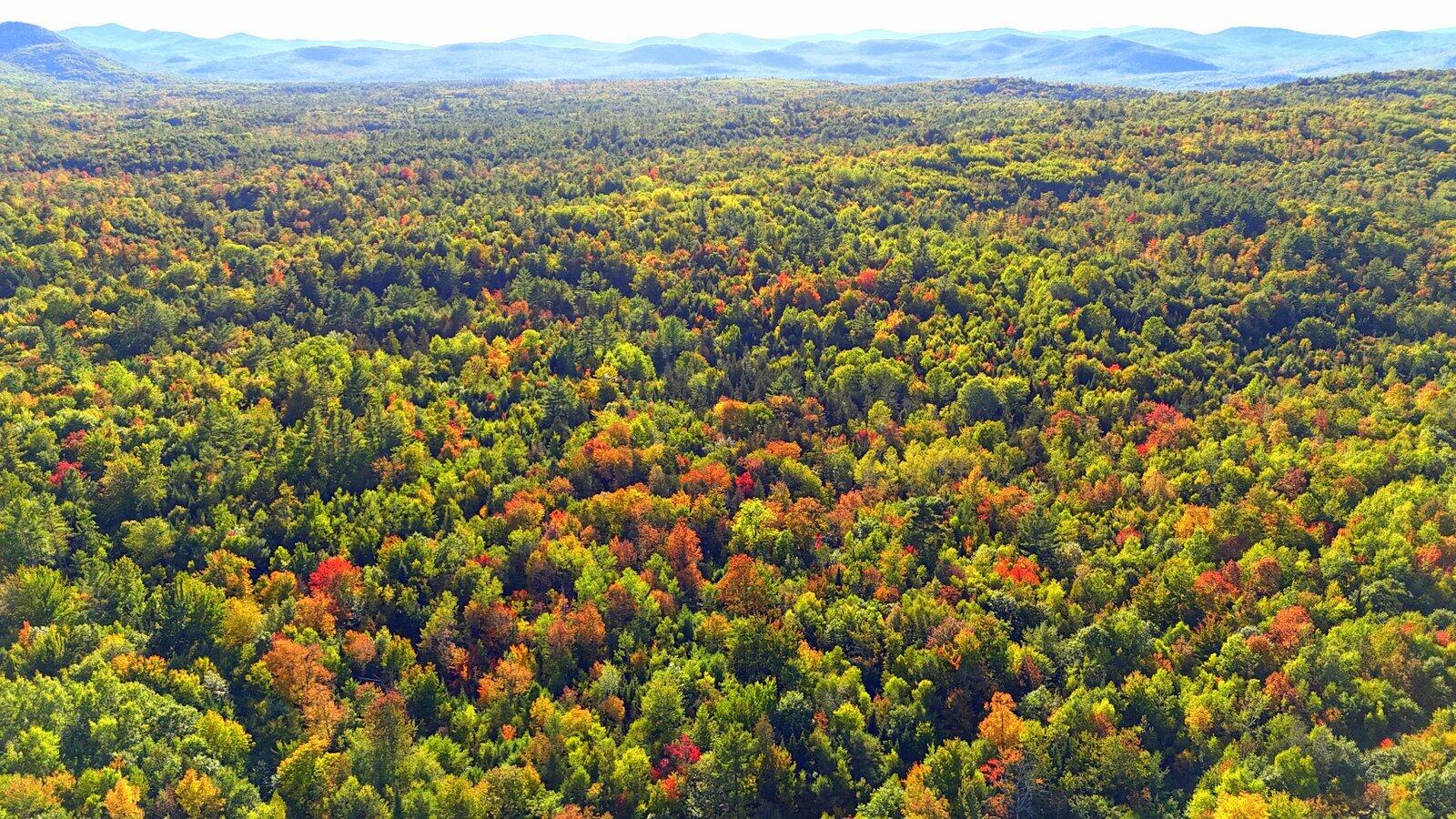 15 Jackson Hole Carthage ME 04224