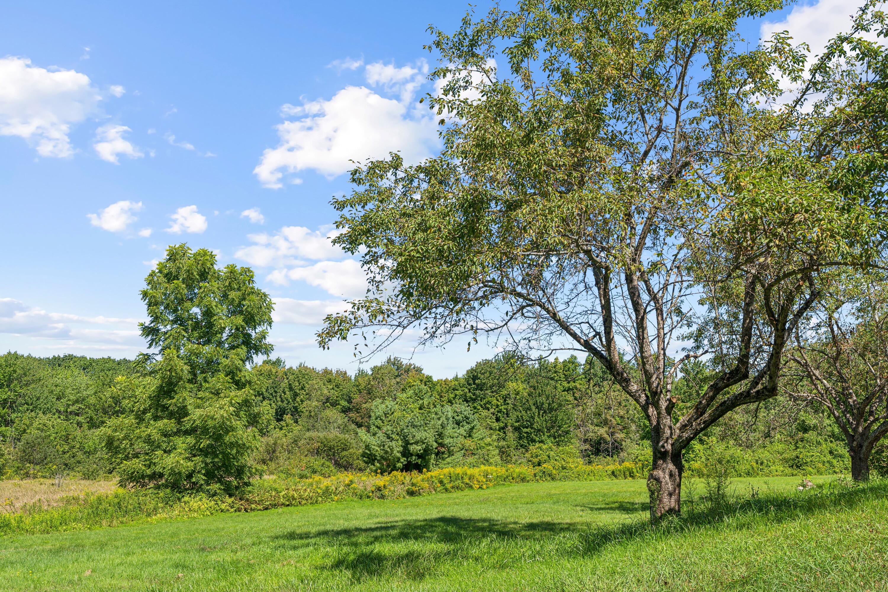 328 Blackstrap Road Falmouth ME 04105