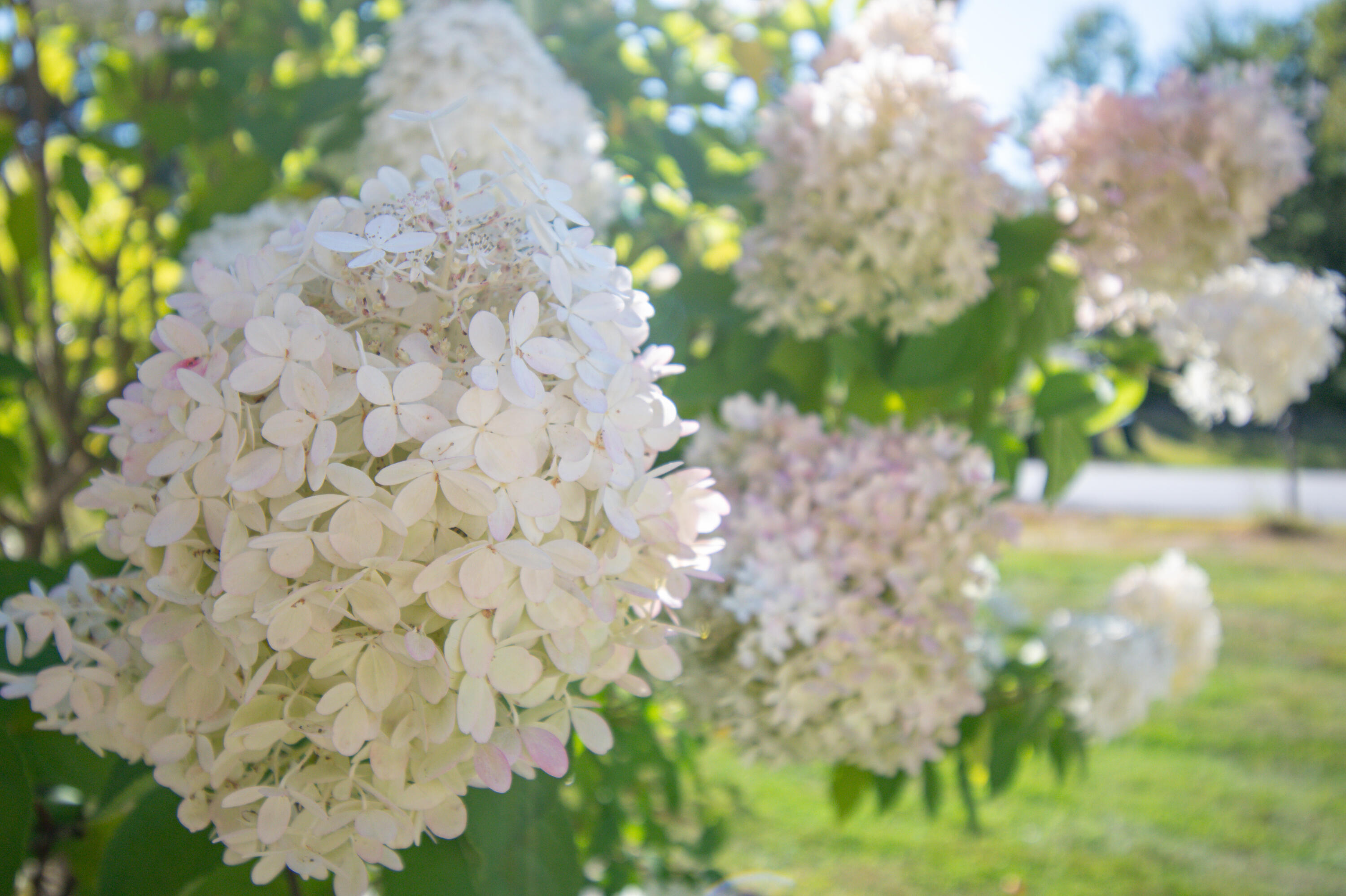 55 Sand Hill Drive Durham ME 04222