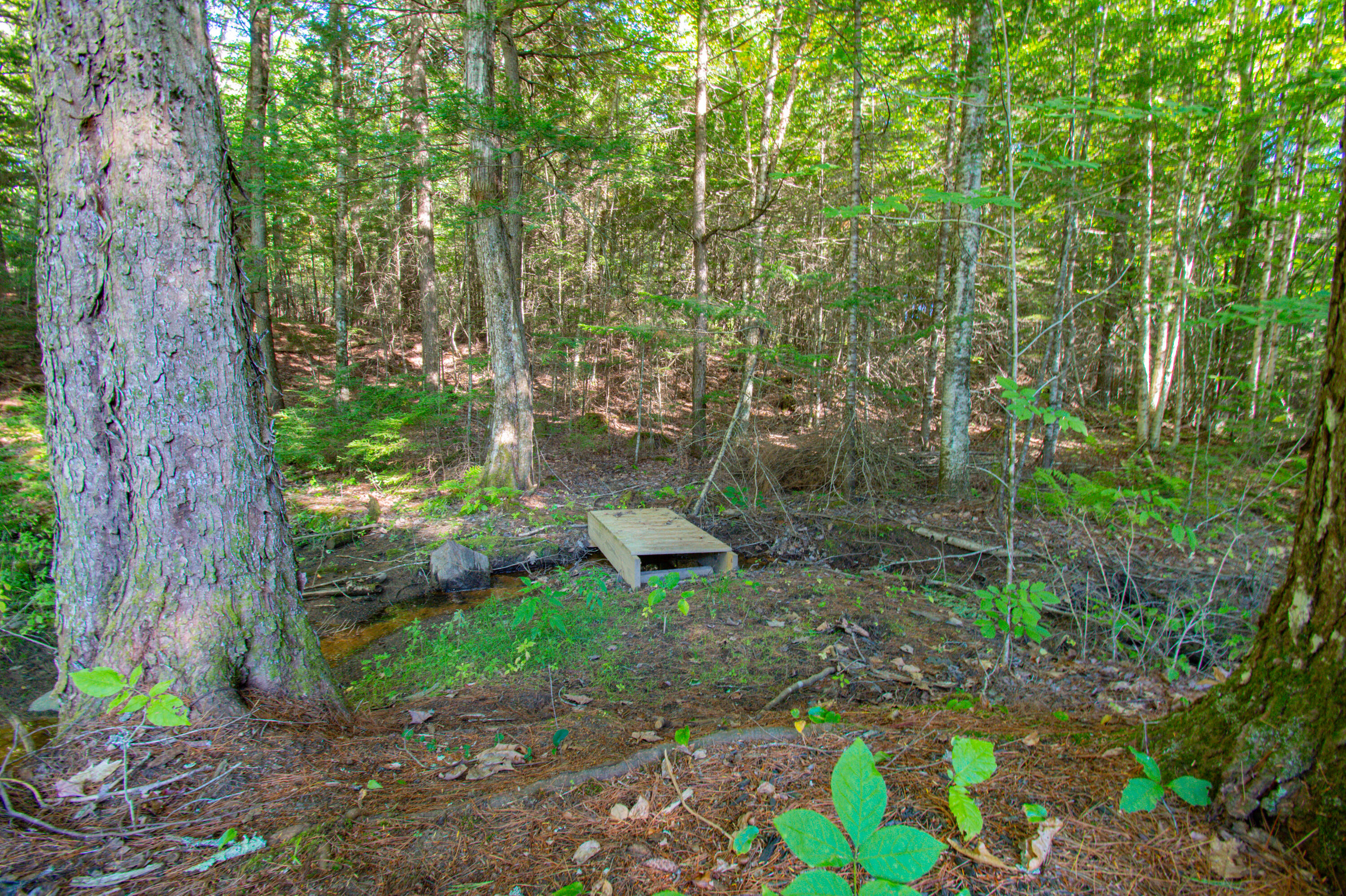 55 Sand Hill Drive Durham ME 04222